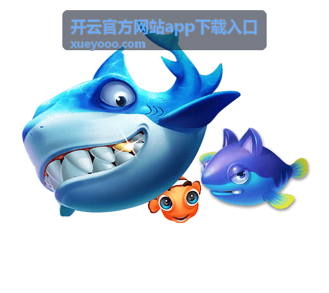 开云官方网站app下载入口 套餐与权益说明对照配图